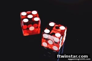 AG真人 ftwinstar
